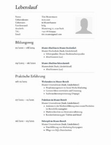 Eine Probe von  Lebenslauf Muster Schreiben Schön Einzigartig Sammlung Von Lebenslauf Vorlage Nach Eu-Norm