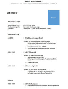Eine Probe von  Lebenslauf Vorlage Im Wordformat (Schweiz)  Mustervorlagech Vorlage Lebenslauf Schweiz Modern