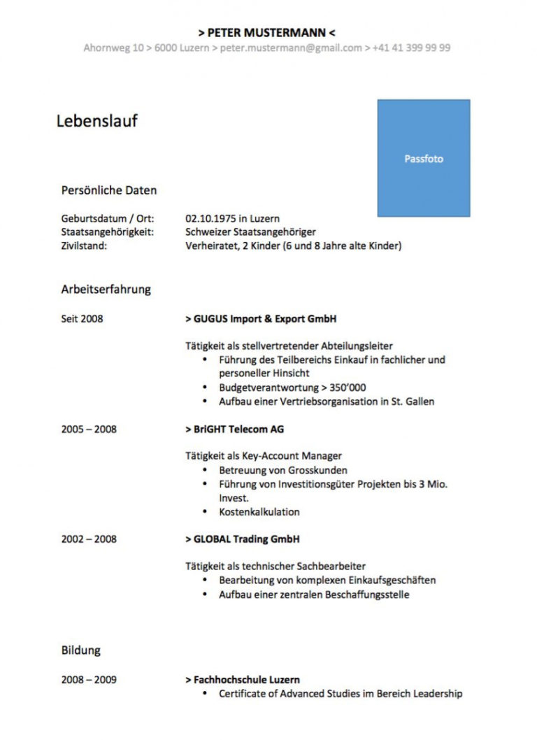 Eine Probe von Lebenslauf Vorlage Im Wordformat (Schweiz