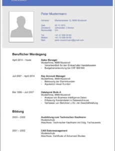 Eine Probe von  Lebenslauf Vorlagen &amp;amp; Muster  Kostenlose Wordvorlage Lebenslauf Muster Modern Schweiz