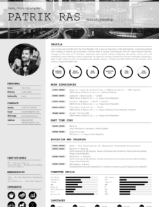 Porbe von  Resume Cv Template Graphics Blackandwhite Bw Icons Icongraphic Vorlage Lebenslauf Mit Icons