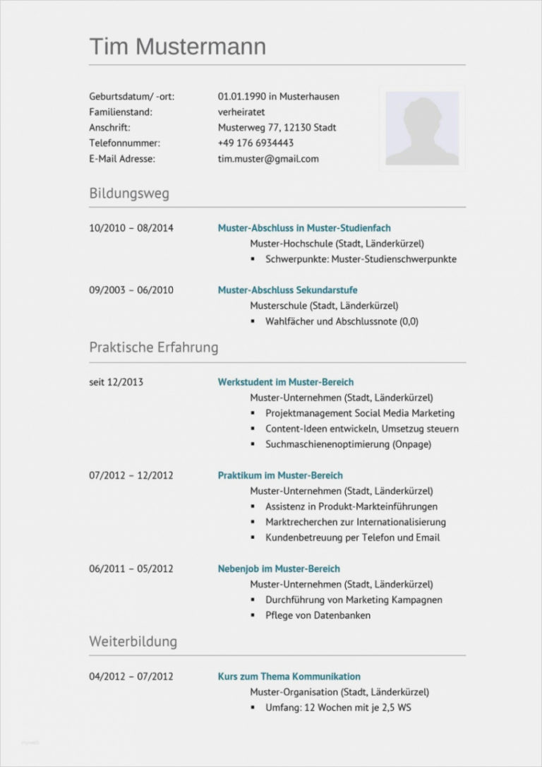 wertvoll-lebenslauf-muster-word-2016-download-46-sch-n-lebenslauf