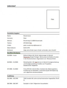 das sample von lebenslauf muster &amp;amp; vorlage  mustervorlagech vorlage lebenslauf schweiz schüler pdf